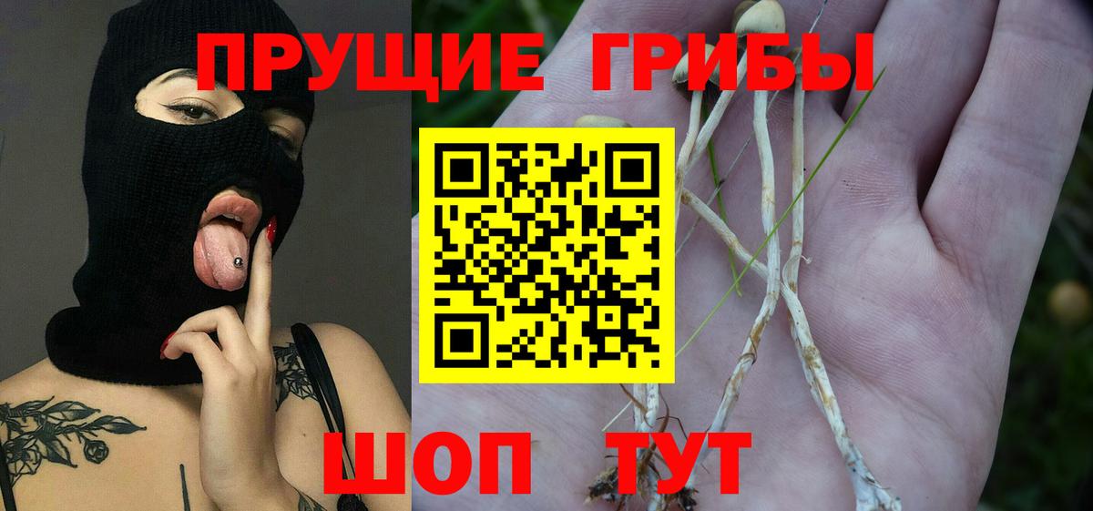 Галлюциногенные грибы мицелий Котлас