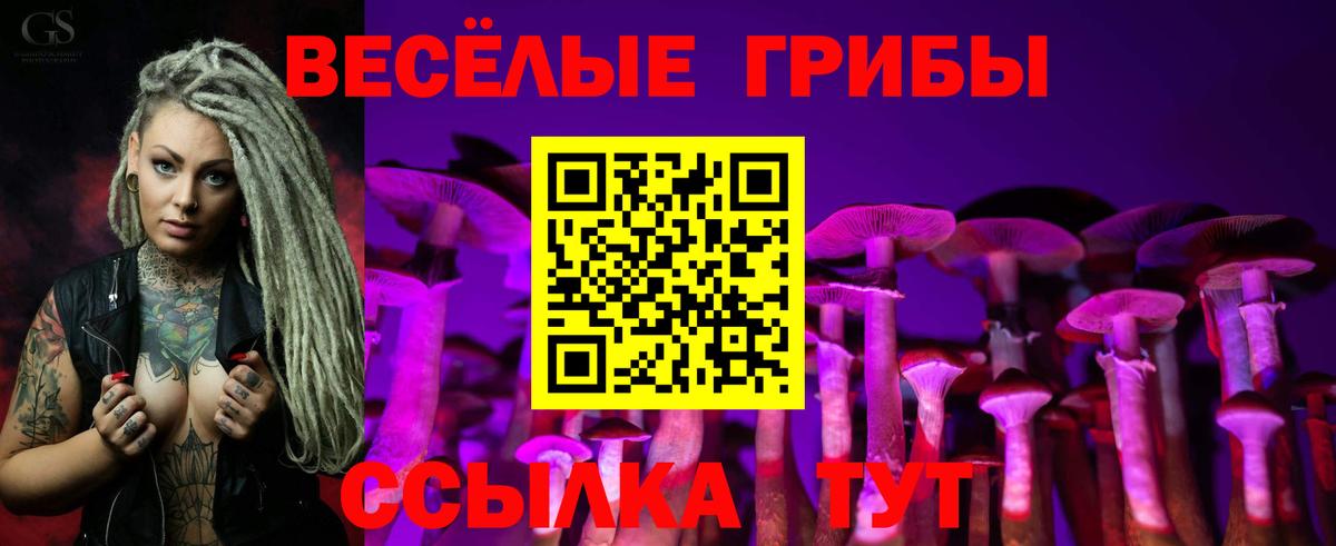 Псилоцибиновые грибы мицелий  Вход с VPN  Котлас 